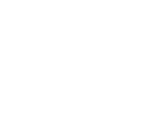 logo alt 1 white